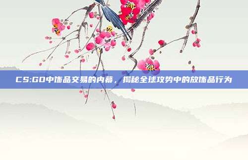 CS:GO中饰品交易的内幕,揭秘全球攻势中的放饰品行为