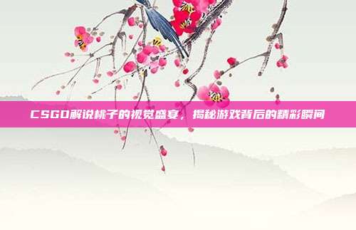 CSGO解说桃子的视觉盛宴,揭秘游戏背后的精彩瞬间