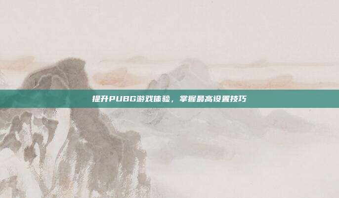 提升PUBG游戏体验,掌握最高设置技巧