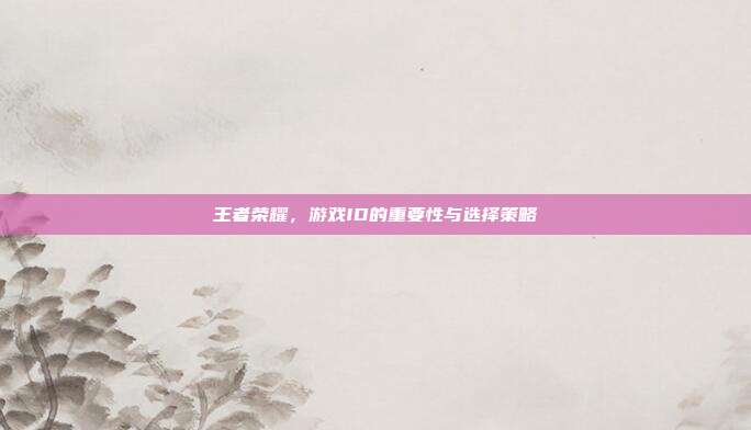 王者荣耀,游戏ID的重要性与选择策略
