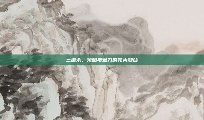 三国杀,策略与魅力的完美融合