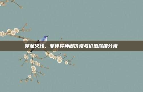 穿越火线,菲律宾神器价格与价值深度分析