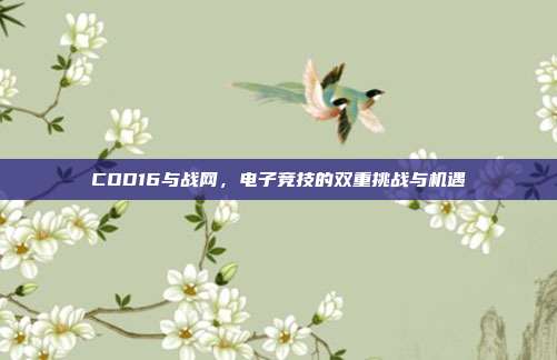 COD16与战网,电子竞技的双重挑战与机遇