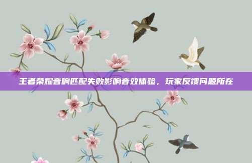 王者荣耀音响匹配失败影响音效体验,玩家反馈问题所在
