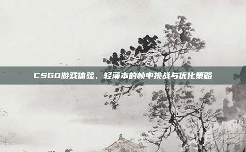 CSGO游戏体验,轻薄本的帧率挑战与优化策略