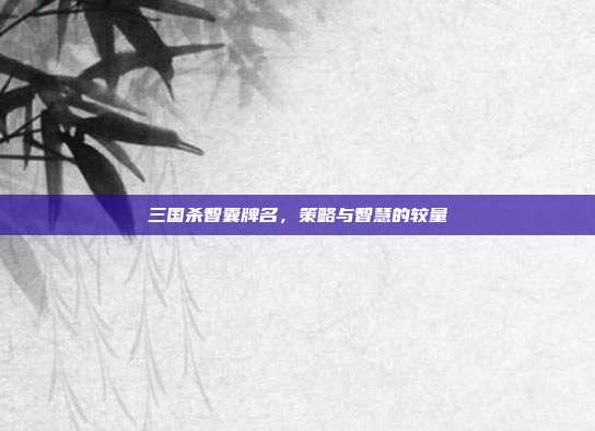 三国杀智囊牌名,策略与智慧的较量