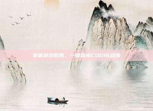 掌握游戏胜局,一键查询COD16战绩