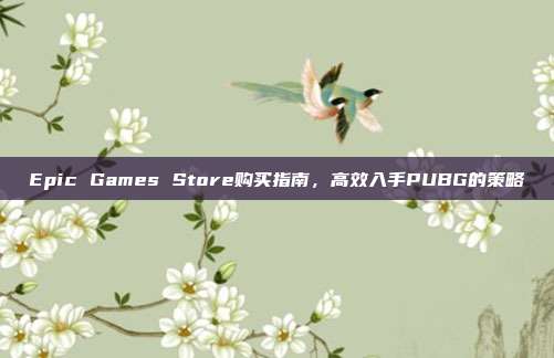Epic Games Store购买指南,高效入手PUBG的策略