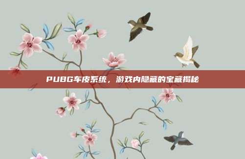 PUBG车皮系统,游戏内隐藏的宝藏揭秘