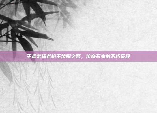 王者荣耀老枪王荣耀之路,传奇玩家的不朽征程