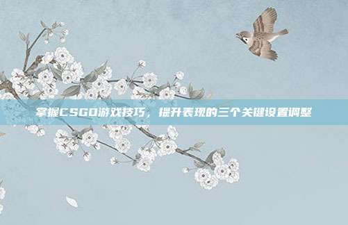 掌握CSGO游戏技巧,提升表现的三个关键设置调整