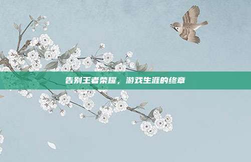 告别王者荣耀,游戏生涯的终章