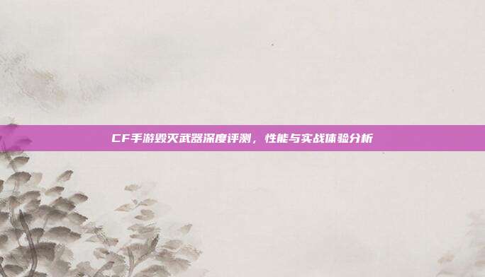 CF手游毁灭武器深度评测,性能与实战体验分析