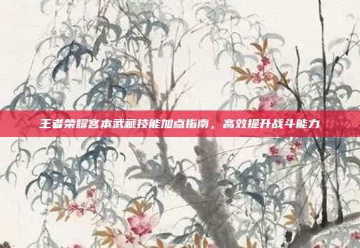 王者荣耀宫本武藏技能加点指南,高效提升战斗能力