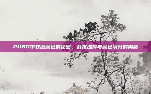 PUBG中衣服颜色的秘密,战术选择与颜色划分的奥秘