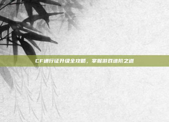 CF通行证升级全攻略,掌握游戏进阶之道