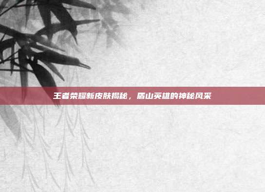 王者荣耀新皮肤揭秘,盾山英雄的神秘风采
