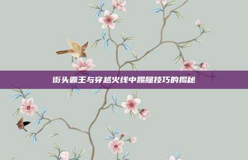 街头霸王与穿越火线中踢腿技巧的揭秘