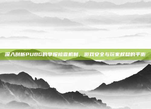 深入剖析PUBG的举报检查机制,游戏安全与玩家权益的平衡