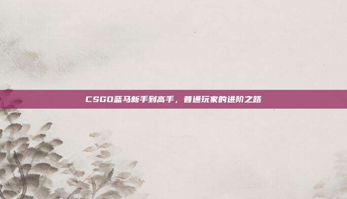 CSGO蓝马新手到高手,普通玩家的进阶之路