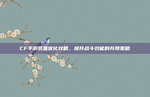 CF手游装备优化攻略,提升战斗效能的升降策略