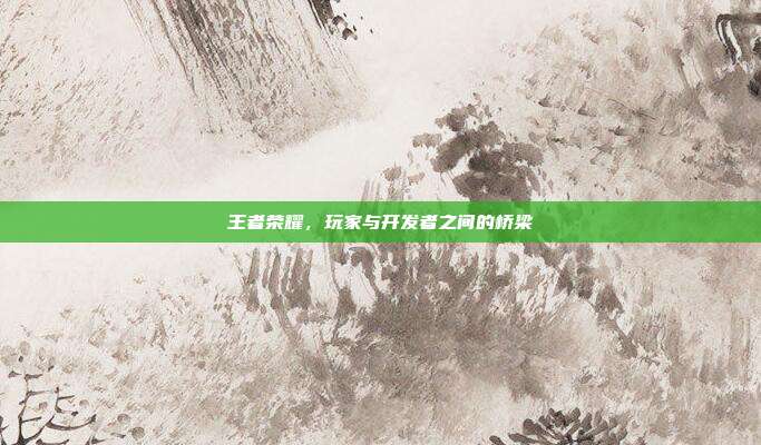 王者荣耀,玩家与开发者之间的桥梁