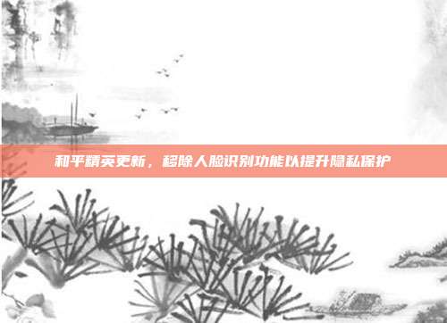 和平精英更新,移除人脸识别功能以提升隐私保护
