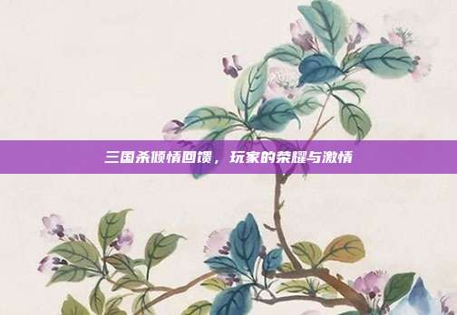 三国杀倾情回馈,玩家的荣耀与激情