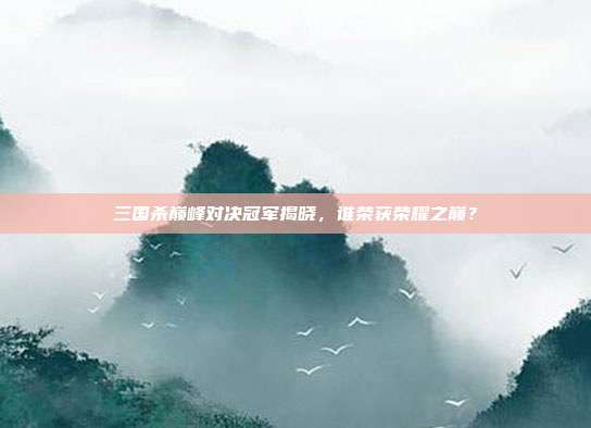 三国杀巅峰对决冠军揭晓,谁荣获荣耀之巅?
