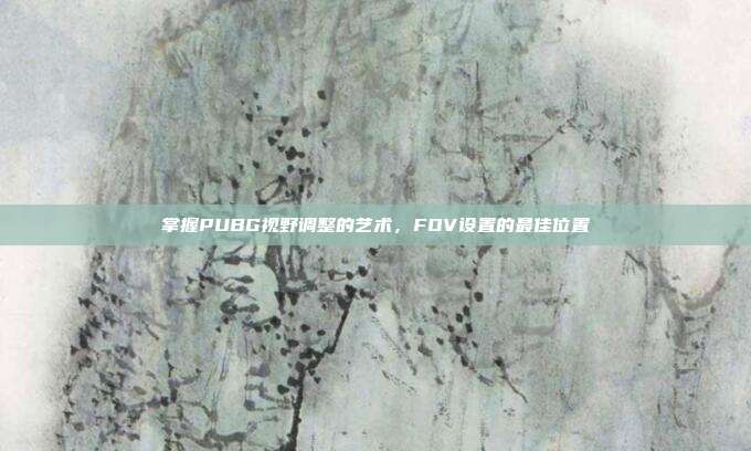 掌握PUBG视野调整的艺术,FOV设置的最佳位置