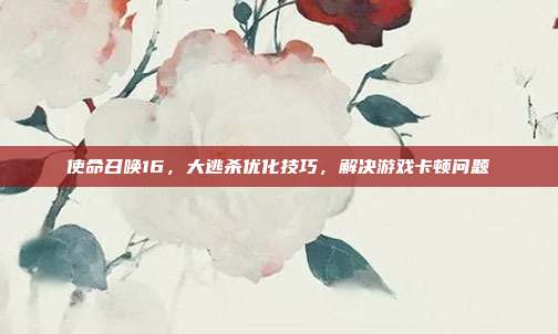 使命召唤16,大逃杀优化技巧,解决游戏卡顿问题