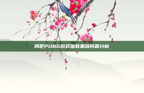 网吧PUBG游戏加载黑屏问题分析