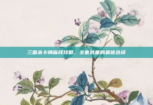 三国杀卡牌省钱攻略,全套装备的最优选择