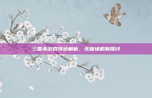 三国杀游戏特色解析,无暗场机制探讨