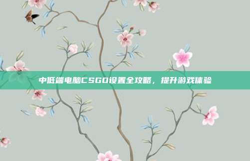 中低端电脑CSGO设置全攻略,提升游戏体验
