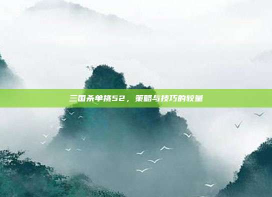 三国杀单挑52,策略与技巧的较量