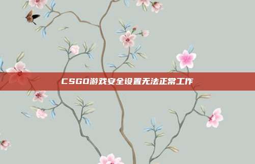 CSGO游戏安全设置无法正常工作