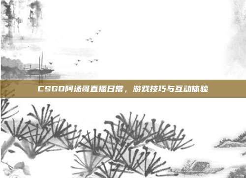 CSGO阿汤哥直播日常,游戏技巧与互动体验