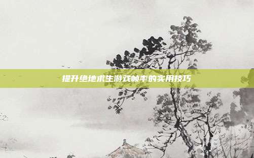 提升绝地求生游戏帧率的实用技巧