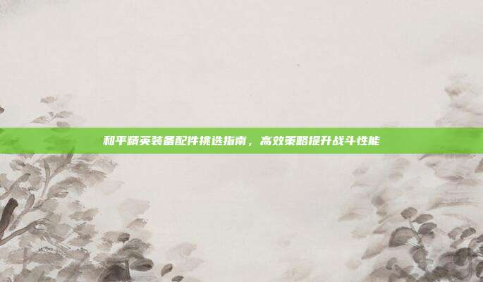 和平精英装备配件挑选指南,高效策略提升战斗性能
