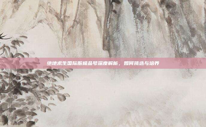 绝地求生国际服极品号深度解析,如何挑选与培养