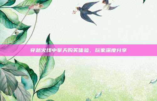 穿越火线中擎天购买体验,玩家深度分享