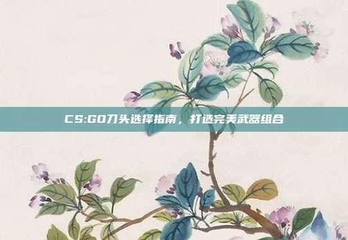CS:GO刀头选择指南,打造完美武器组合
