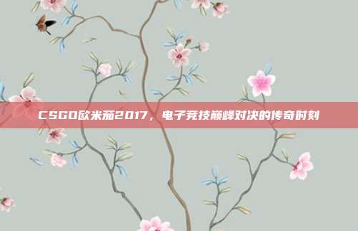 CSGO欧米茄2017,电子竞技巅峰对决的传奇时刻