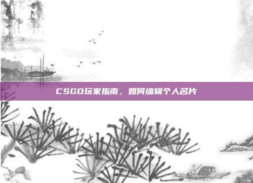 CSGO玩家指南,如何编辑个人名片