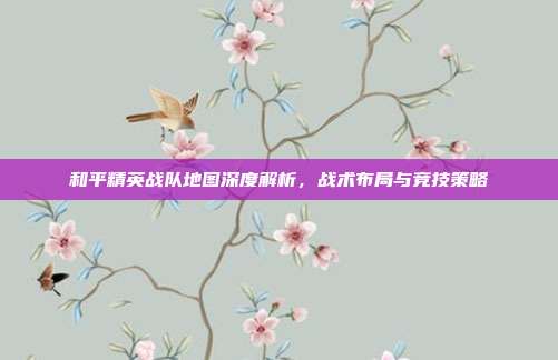 和平精英战队地图深度解析,战术布局与竞技策略