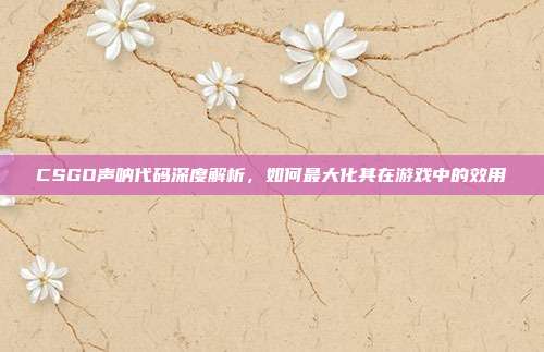 CSGO声呐代码深度解析,如何最大化其在游戏中的效用