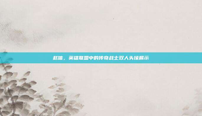 赵信,英雄联盟中的传奇战士双人头像展示