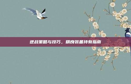 逆战策略与技巧,精良装备持有指南