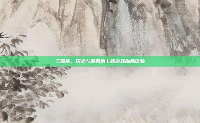 三国杀,历史与策略的卡牌游戏融合体验